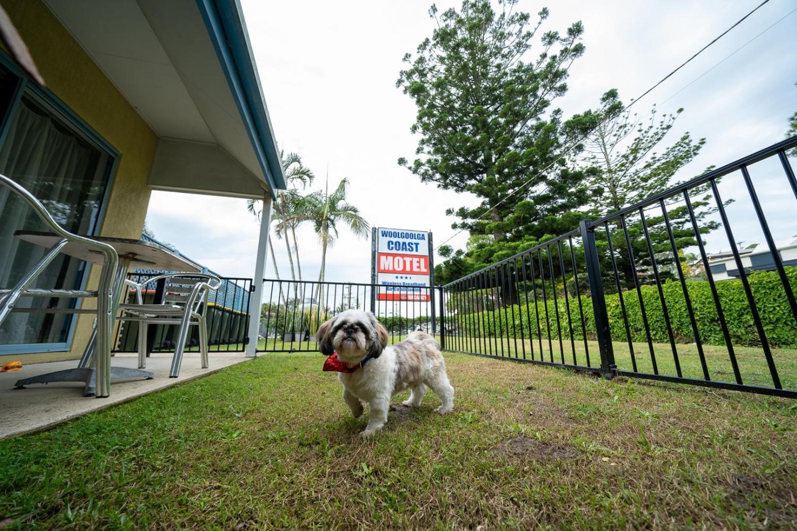 Woolgoolga Coast Motel Quarto foto